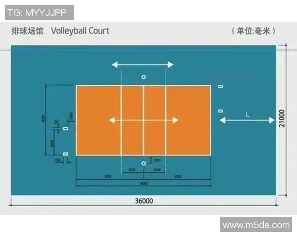 成都排球队在精英赛中的耐力表现分析与总结
